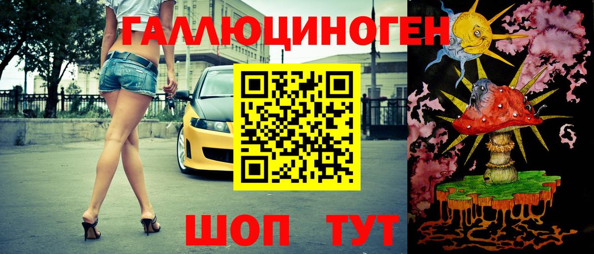 Кириши  Галлюциногенные грибы GOLDEN TEACHER  купить закладку  Вход с VPN 