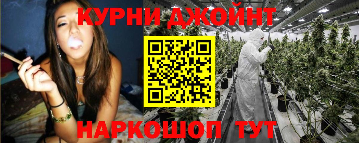 Каннабис планчик  Шишки марихуана Bruce Banner  Кириши  Вход с VPN  Бошки марихуана планчик 